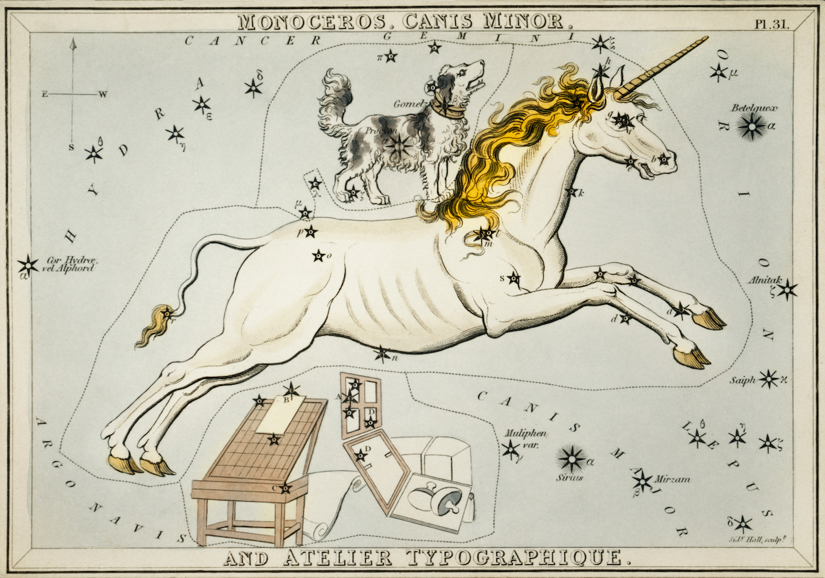 The Unicorn, Canis Major, from the